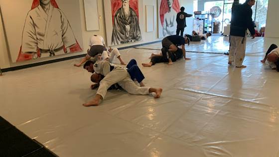 Brazilian Jiu Jitsu Club of Michigan