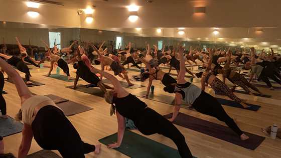 Haute Yogis Hot Yoga Studio & Yoga School