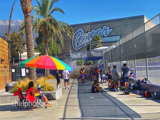 single listing image