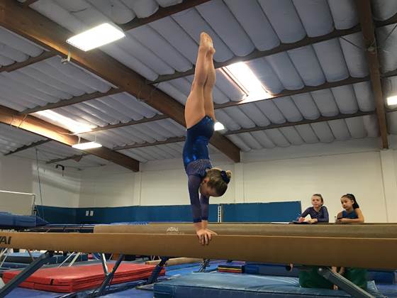 Marin Elite Gymnastics Academy MEGA