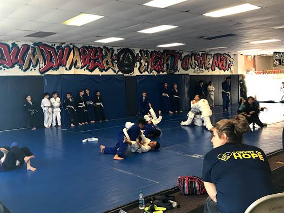 single listing image