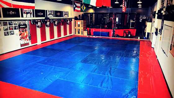 Dominion MMA, Brazilian Jiu Jitsu & San Antonio MMA Training Gym.