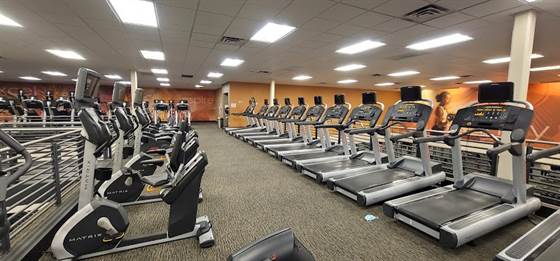 single listing image