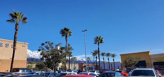 single listing image