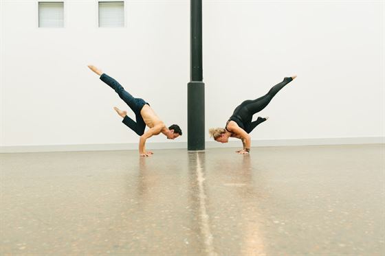 The Yoga Dojo