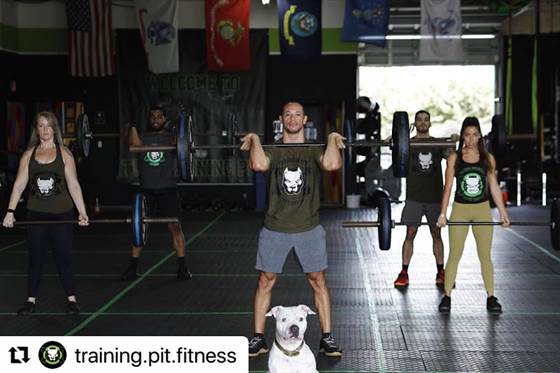 Training Pit Fitness