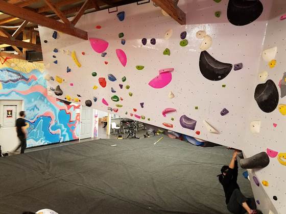 Urbana Boulders