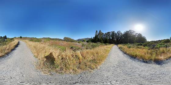 single listing image