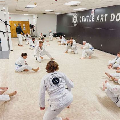 Gentle Art Dojo