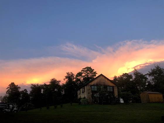 single listing image