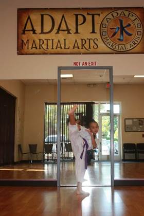 Adapt Martial Arts