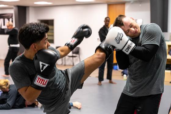 single listing image