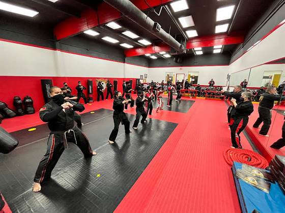 single listing image