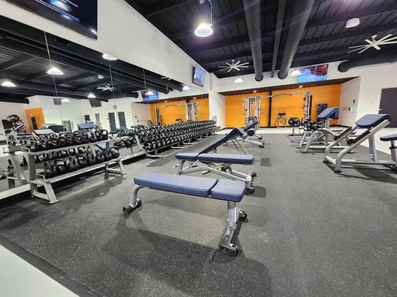 Iron 24 Fitness + Recovery