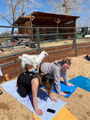 single listing image