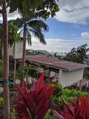 Kamehameha Schools Keawe Gym