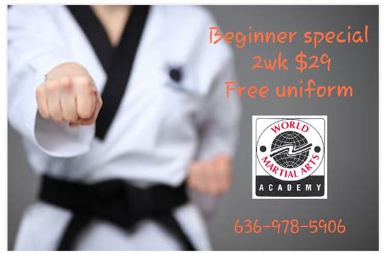 World Martial Arts Academy