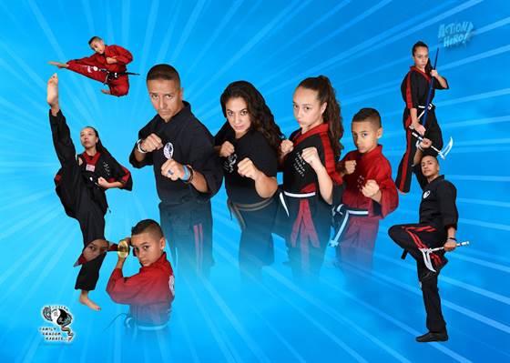 Family Dragon Martial Arts and Fitness Academy