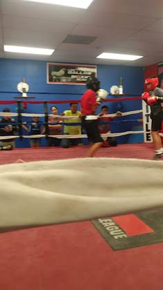 single listing image