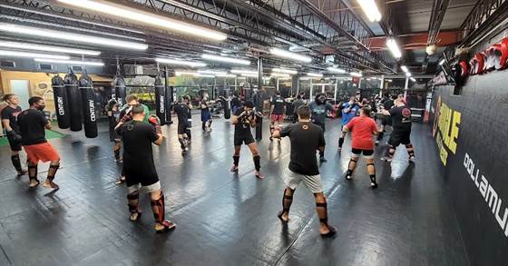 The Jungle MMA and Fitness