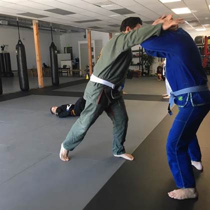 single listing image