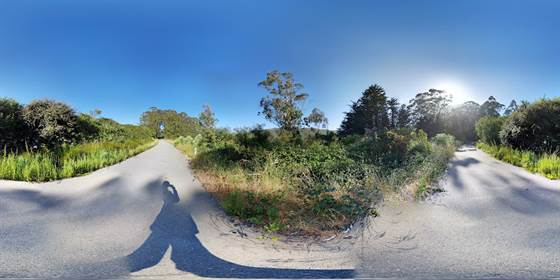 single listing image