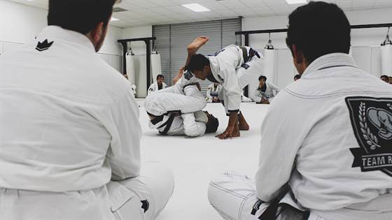 single listing image