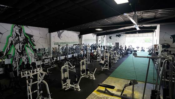 Species Gym Baytown