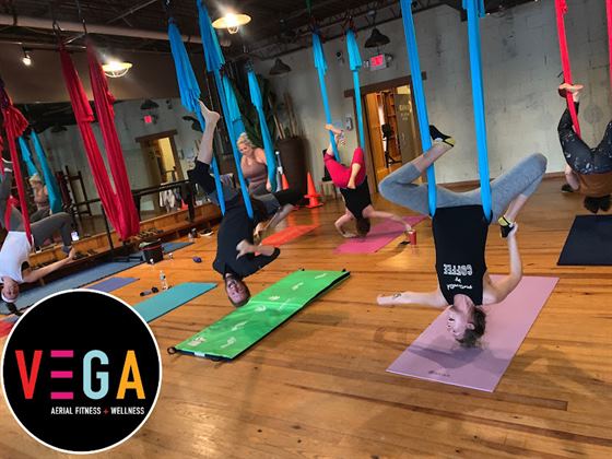 VEGA AERIAL FITNESS + WELLNESS POP UP STUDIO