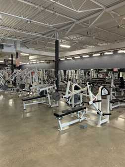 American Muscle Factory