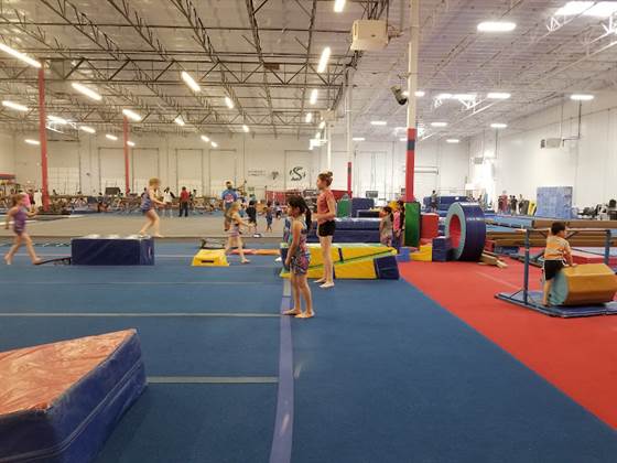 Elevate Gymnastics Academy