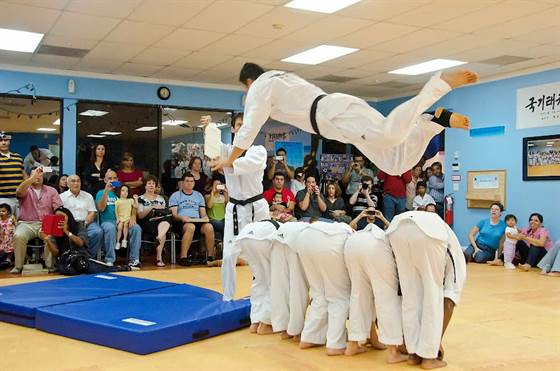 YONG IN TIGER TAEKWONDO