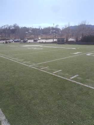 single listing image