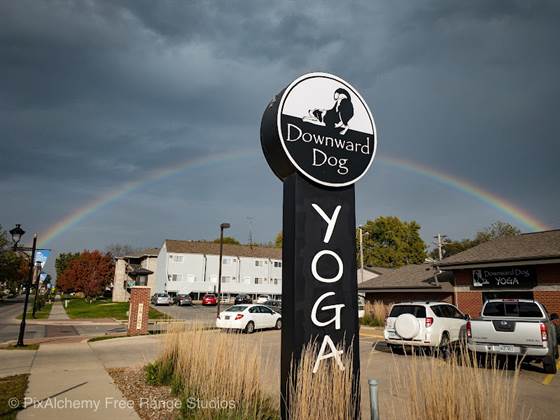 Downward Dog Yoga