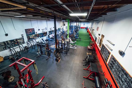 Hercules Gym