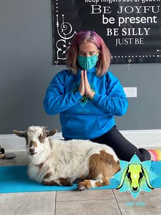 Goat Yoga Chicago - South Barrington, Illinois