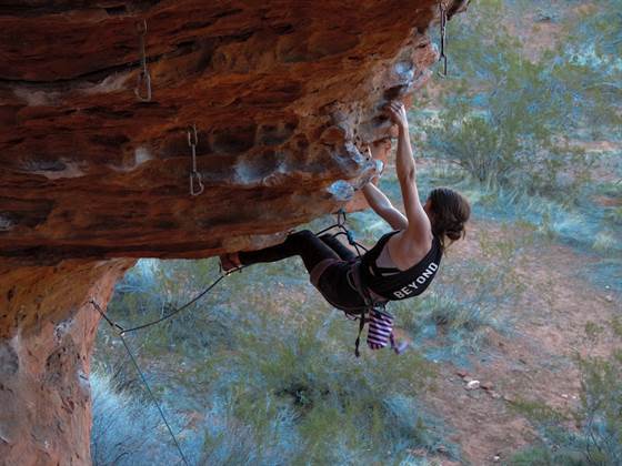 Turtle Wall Climbing Area