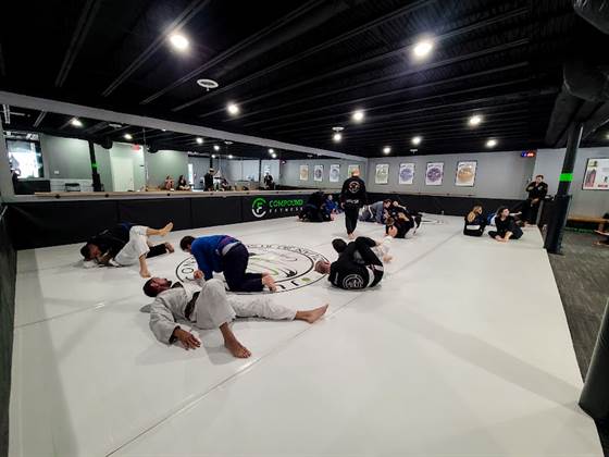 single listing image