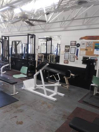 Mekuly's Gym
