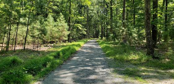 Newport News Park Bikeway