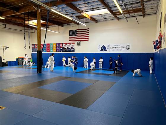 single listing image