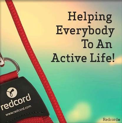 single listing image