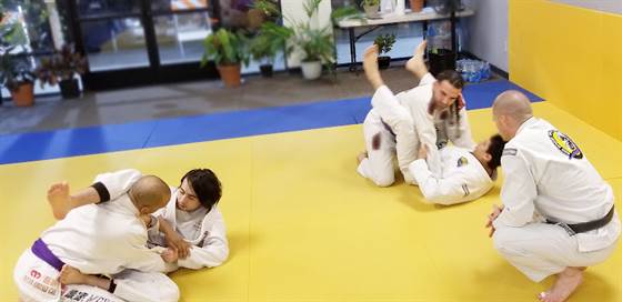 single listing image