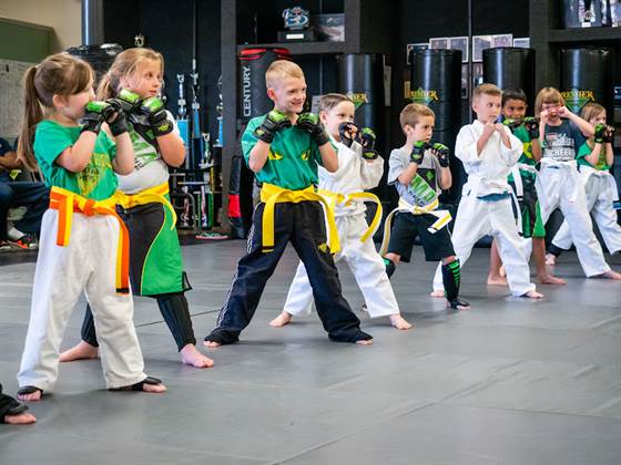 Premier Martial Arts (3287 S 14th St, Abilene)