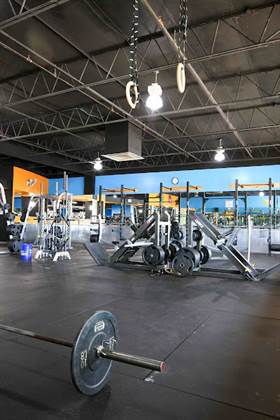 Hammerhead Gym (Cape Coral)