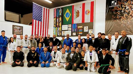 Checkmat BJJ