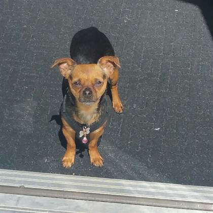 single listing image