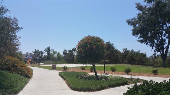 single listing image