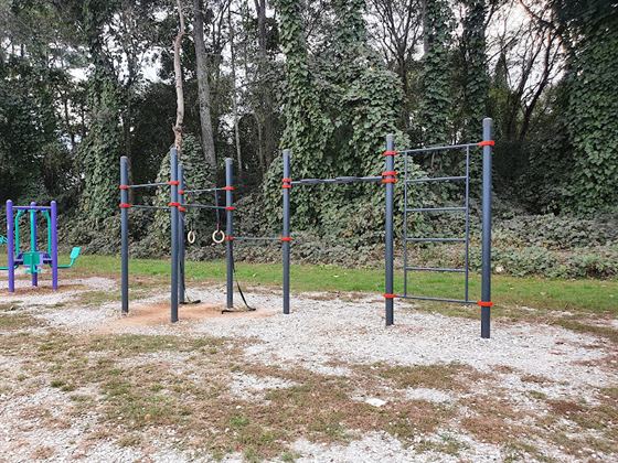 Calisthenics bars - Street Workout - monkey bars