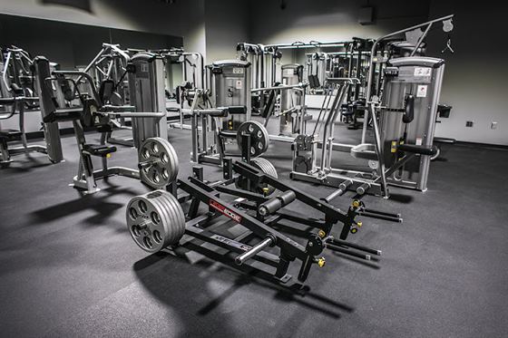 The Iron Asylum Gym - Castleton